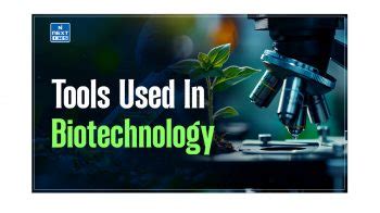 Biotechnology Lab Tools 的图像结果