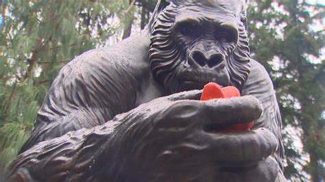 Ivan the Gorilla statue unveiled at Point Defiance Zoo | king5.com