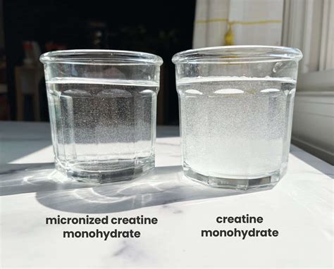 Micronized Creatine Vs Creatine Monohydrate