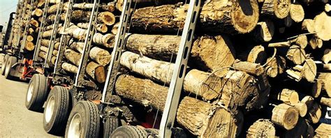 Image result for How Do Logging Trailers Work