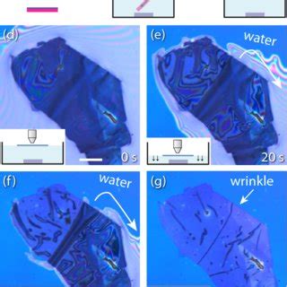 Pattern SiO2 Substrate 的图像结果
