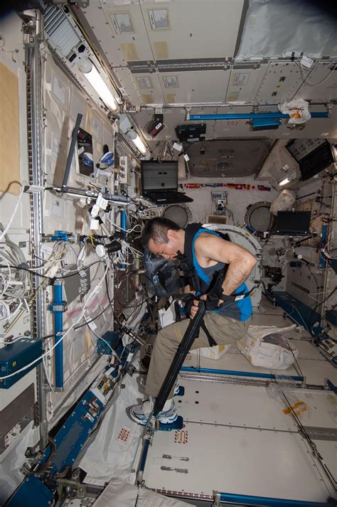 Human Flight Experiments 的图像结果