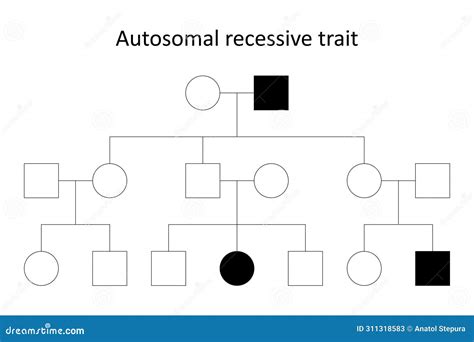 Autosomal recessive trait. stock vector. Illustration of chromosome - 311318583