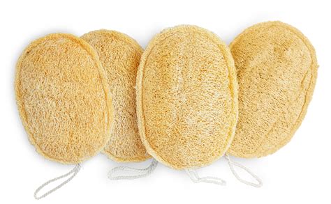 Buy Allkartz 100% Natural Loofah Exfoliating Sponge - Loofah Body ...