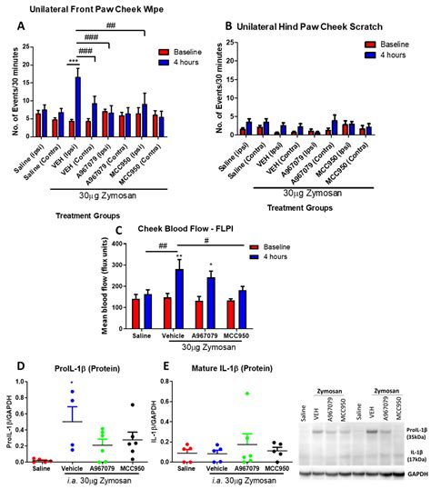 Evidence That a TRPA1-Mediated Murine Model of Temporomandibular Joint ...