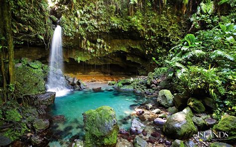 Dominica, the nature island of the Caribbean! A real gem! - Bonvoyageurs