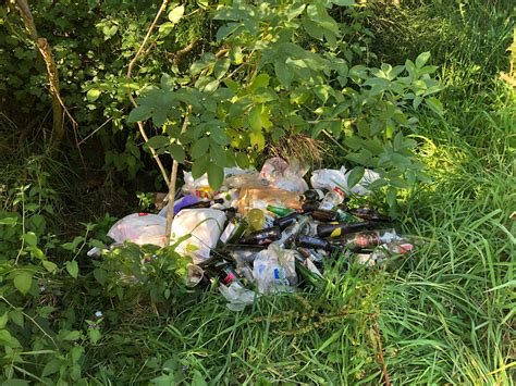 Littering and illegal dumping - Clutha District Council