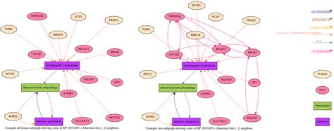 A Tissue-Specific and Toxicology-Focused Knowledge Graph