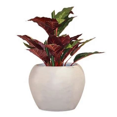 JP Planters (A Brand Of JP Hollandwoven Private Limited) - Manufacturer ...