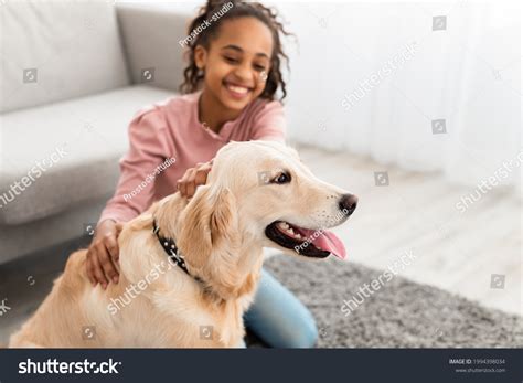 Image result for Animal Connection