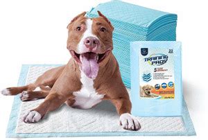 Goofy Tails High Absorption Pee Pads for Dogs |Quick Drying Pet Pad ...