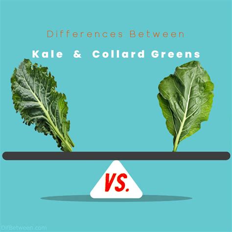 Kale vs. Collard Greens: Unveiling Nutritional Contrasts