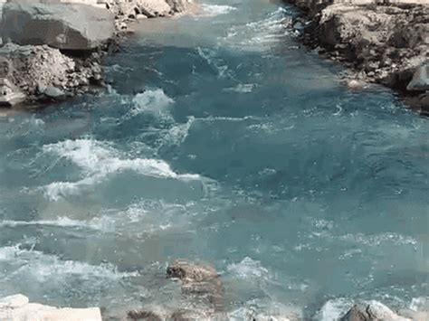 Jamrani Dam Wildlife Friendly Canals For Elephants & Snakes ...