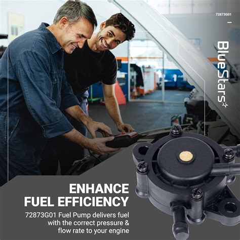 BlueStars 72873G01 High-Performance Fuel Pump - for India | Ubuy