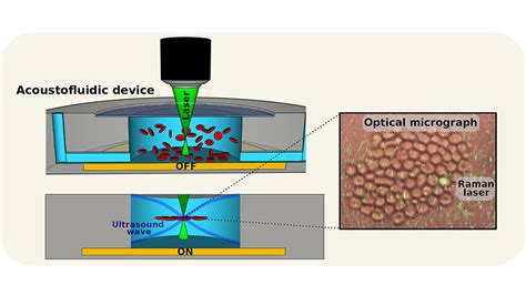 Image result for Sharp Edge Simulation