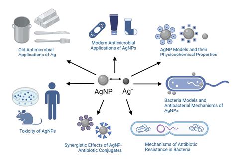 Nanosilver: An Old Antibacterial Agent with Great Promise in the Fight ...