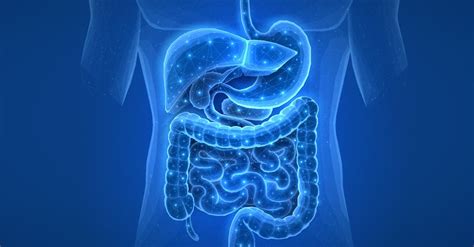 Helicobacter pylori: il killer silenzioso che causa l’80% dei casi di ...