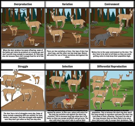 Natural Selection Storyboard par 1815954a