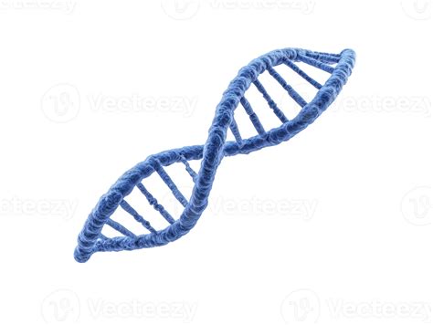 DNA double helix blue genetic science molecule biology structure strand ...