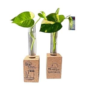 Kavi Cork Magnetic Planter Table Cork Planter Unique Table DeskTest ...