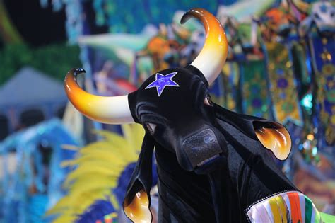 Boi Caprichoso: Conheça o Livro Premiado sobre o Boi Bumbá - Gazeta da ...