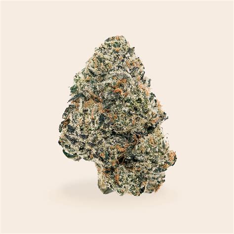 Space Runtz Strain | Cannabis America