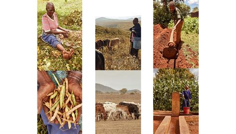 Image result for Clean Water