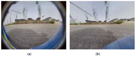 A Curb-Detection Network with a Tri-Plane BEV Encoder Module for ...