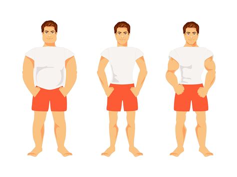 Body Types: Mesomorphs. Ectomorphs, & Endomorphs Explained