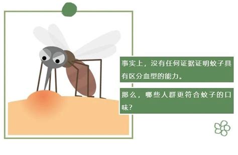 夏天，蚊子为啥总叮你？_澎湃号·政务_澎湃新闻-The Paper