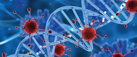 Is Blood Cancer Curable - Types, Diagnosis & Cure | Max Hospital