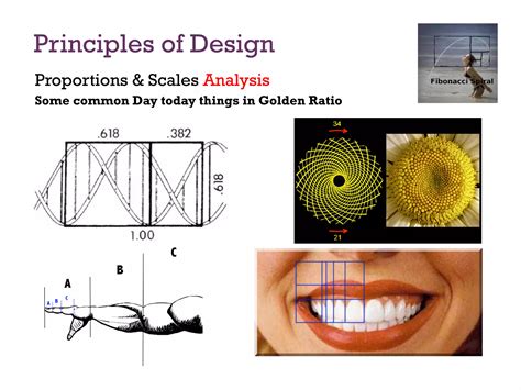 Principles of design | PDF