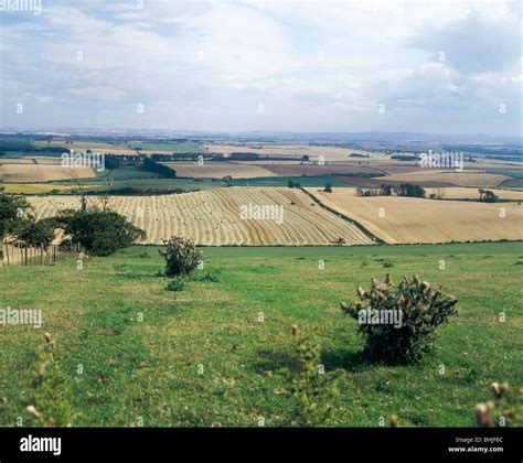 Flodden Field, site of Battle of Flodden 1513, Northumberland, 1994 ...