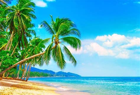 Image result for Beach Python Code