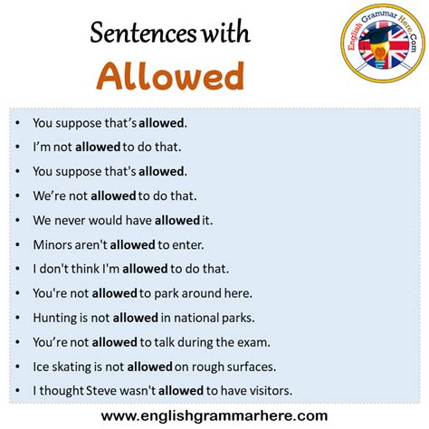 Sentences with Allowed, Allowed in a Sentence in English, Sentences For ...