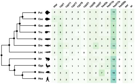 The Comparative Survey of Coordinated Regulation of Steroidogenic ...