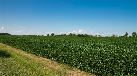 Agriculture In Ohio