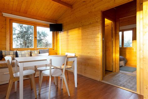 Amigos constroem uma pequena vila com casas de madeira