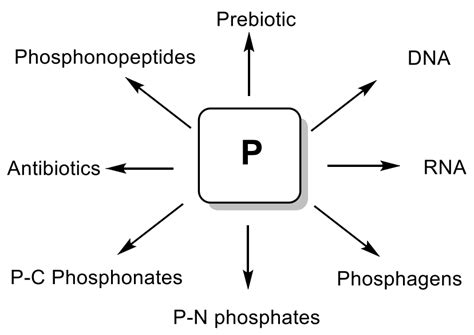 Phosphorus Compounds of Natural Origin: Prebiotic, Stereochemistry ...