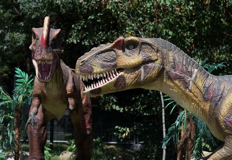 The 10 Most Popular Dinosaurs - The Bailey News