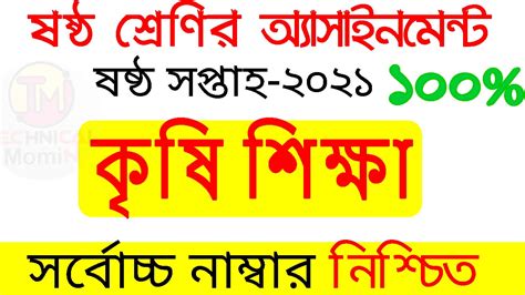 Class 6 Assignment 3rd Week 的图像结果