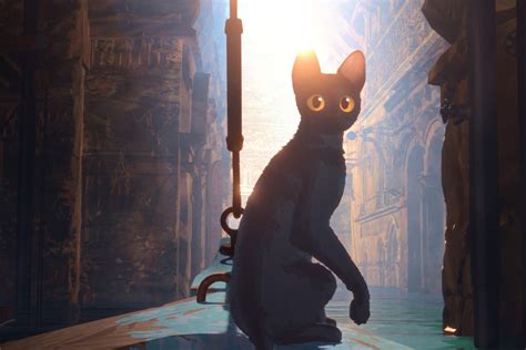 Image result for Flow Films