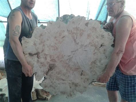 Getrocknetes Schnittholz aus Topolya Pappelholz bestellbar in Sopron ...