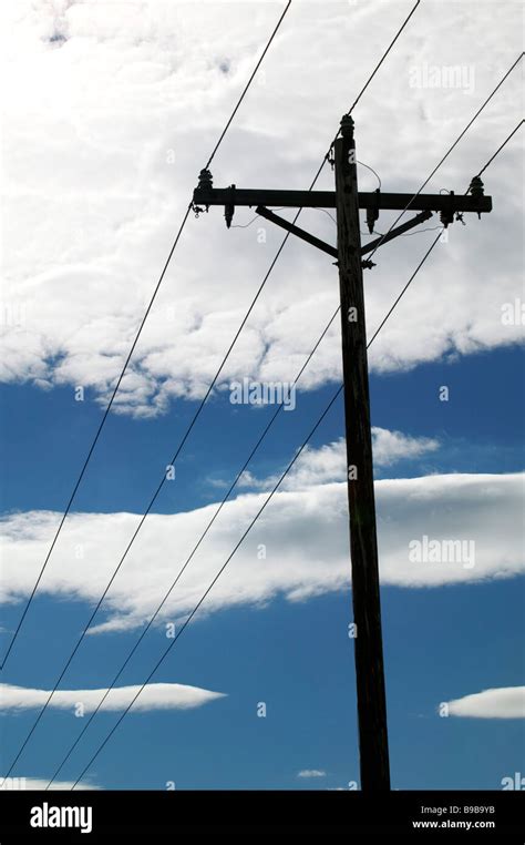 Distribution Power Lines 的图像结果