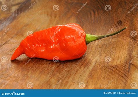 Bhut Naga Jolokia / Ghost Chili Pepper Stock Image - Image of funny ...