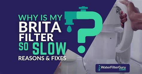 Image result for Brita Filter Testing