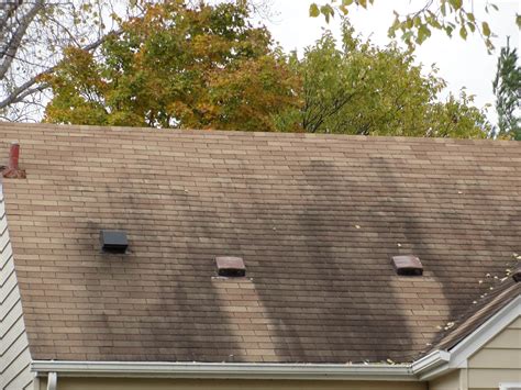 Semi-Long Term Experiment Results: Zinc Strips Kill Moss on Roofs