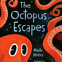Image result for Octopus Escapes