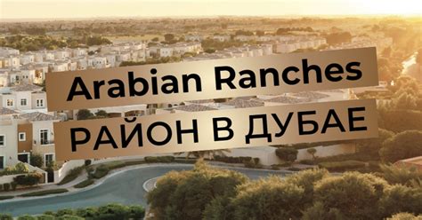 Arabian Ranches - обзор района в Дубае — Teletype