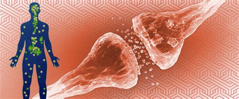 Image result for EC System